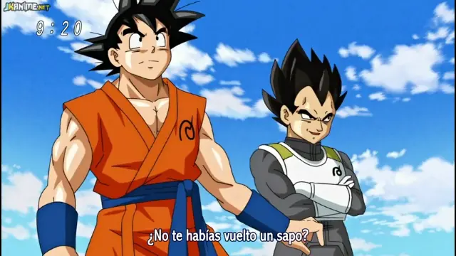 Aguate el paco vieja, version dragon ball super