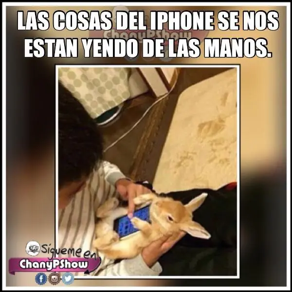 de facebook