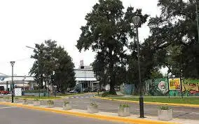 lindo