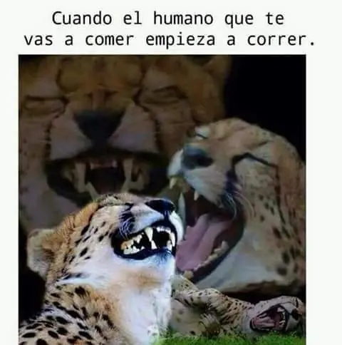 Aburrido en Fin de Año Alégrate con estos Shouts Aburrido en Fin de Año Alégrate con estos Shouts
