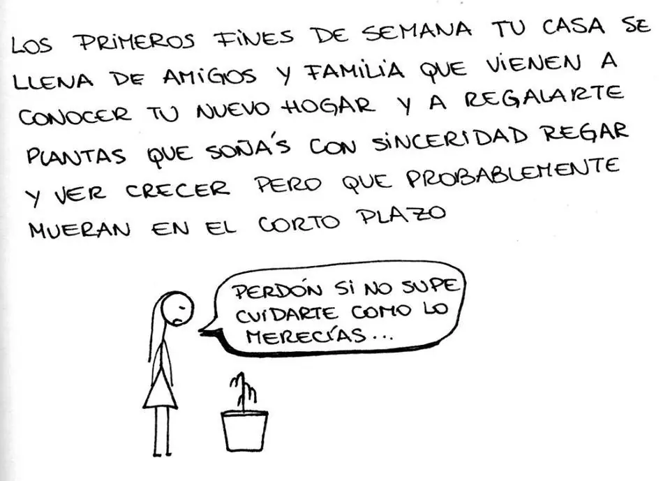 pareja