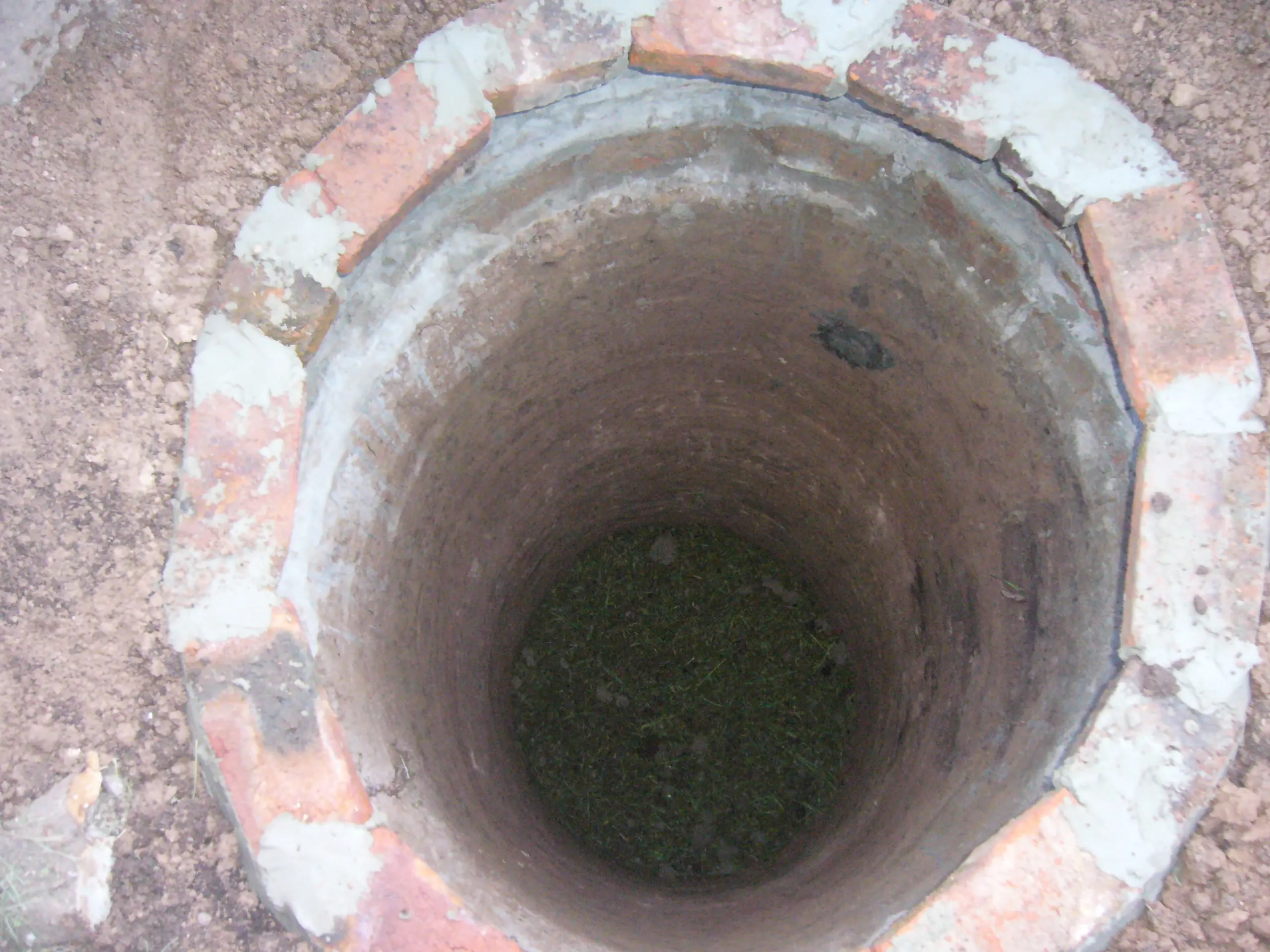 cloaca