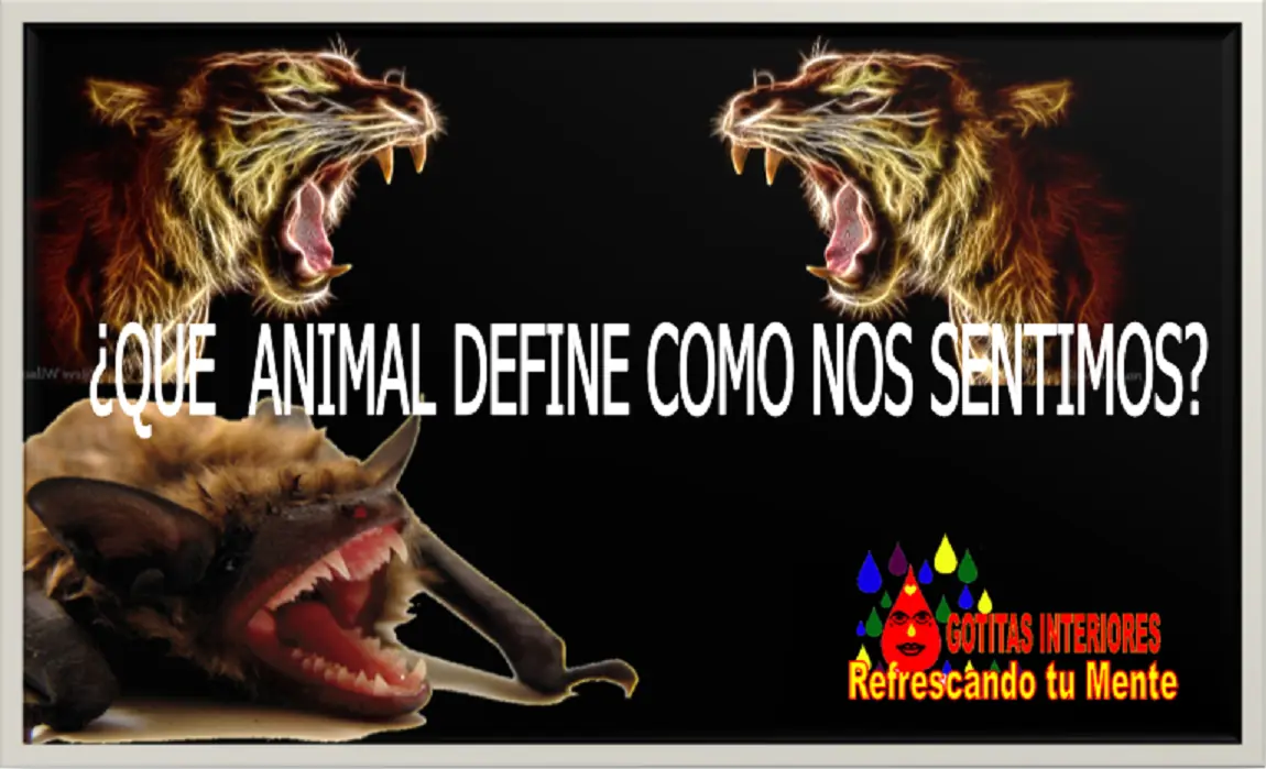 ¿Qué animal define como nos Sentimos?(humor)