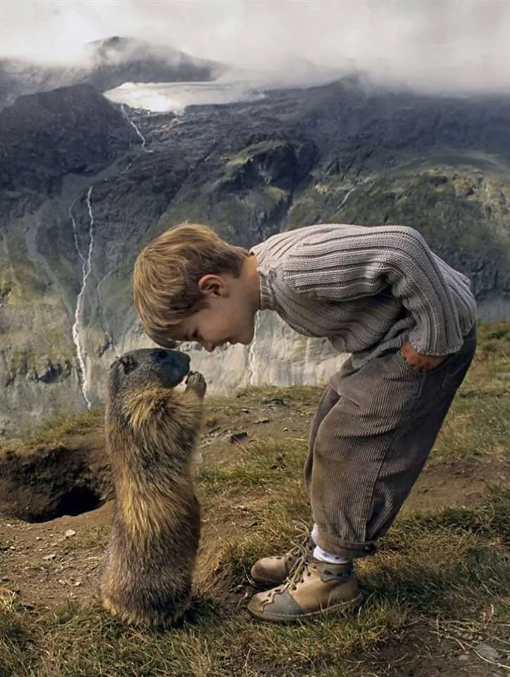Photos  humor
