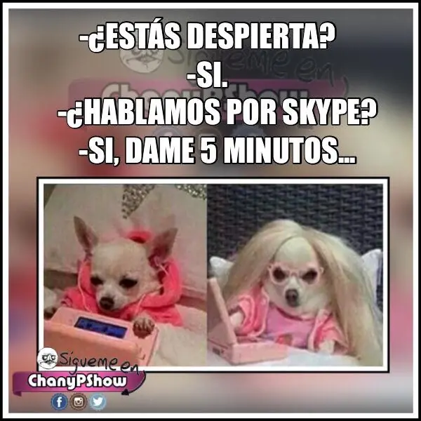 memes de la vida real