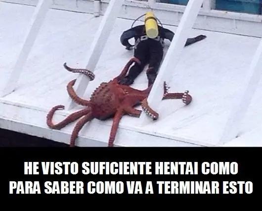 Aburrido en Fin de Año Alégrate con estos Shouts Aburrido en Fin de Año Alégrate con estos Shouts