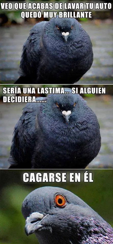 usuarios usuarios