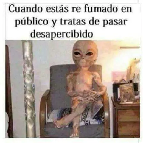 humor de viernes