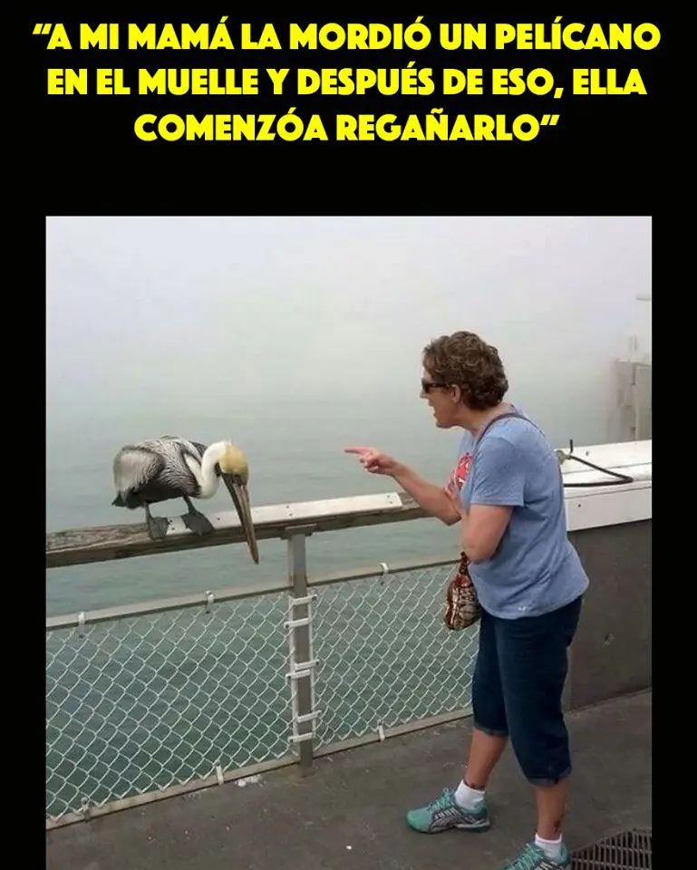humor humor