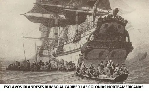 Caribe