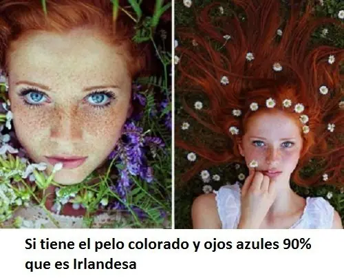 Seguro que no sabes esto ni nadie te lo contó.