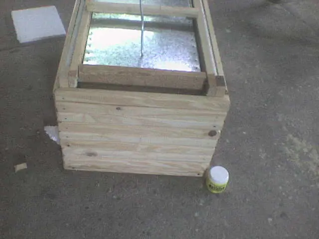chopera de cerveza