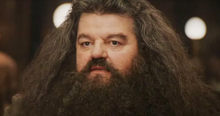 Por qué Hagrid no puede producir un Patronus?