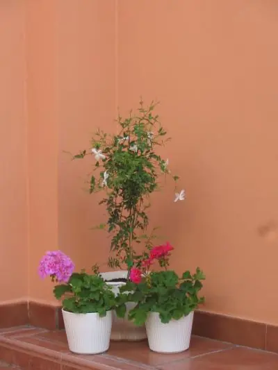 Me robaron la moto, te cuento como sucedió