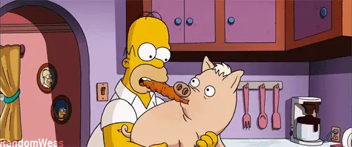 Datos curiosos, aprende algo nuevo papu