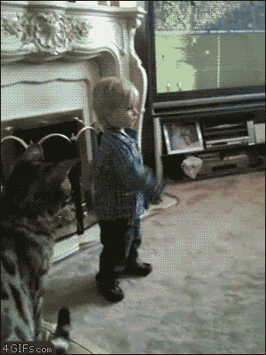 GIFs de perros, gatos y demás animales Muy divertidos!! 01º