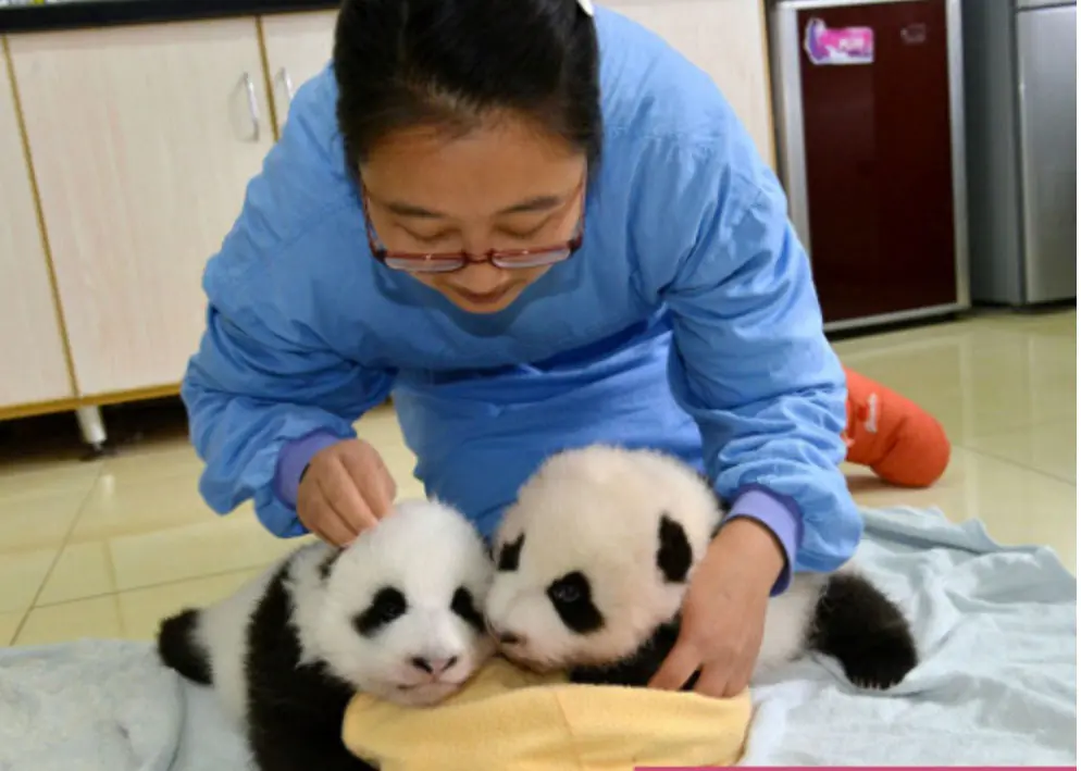 13 Datos curiosos que no conocías y te harán más sabio