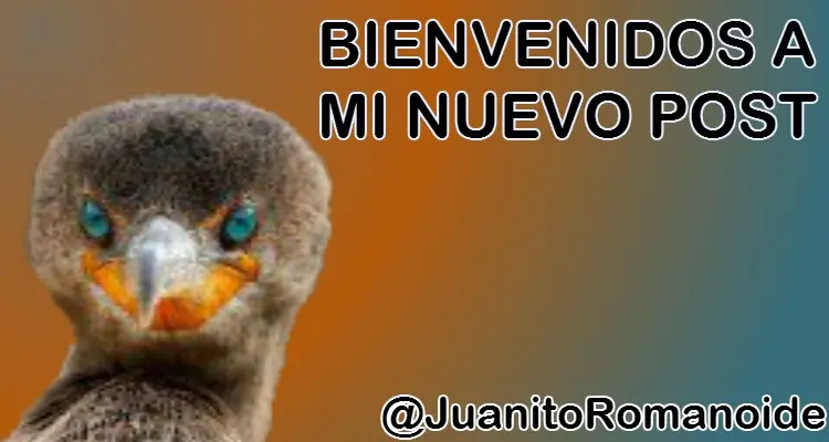 Las 10 prohibiciones más insólitas en el mundo