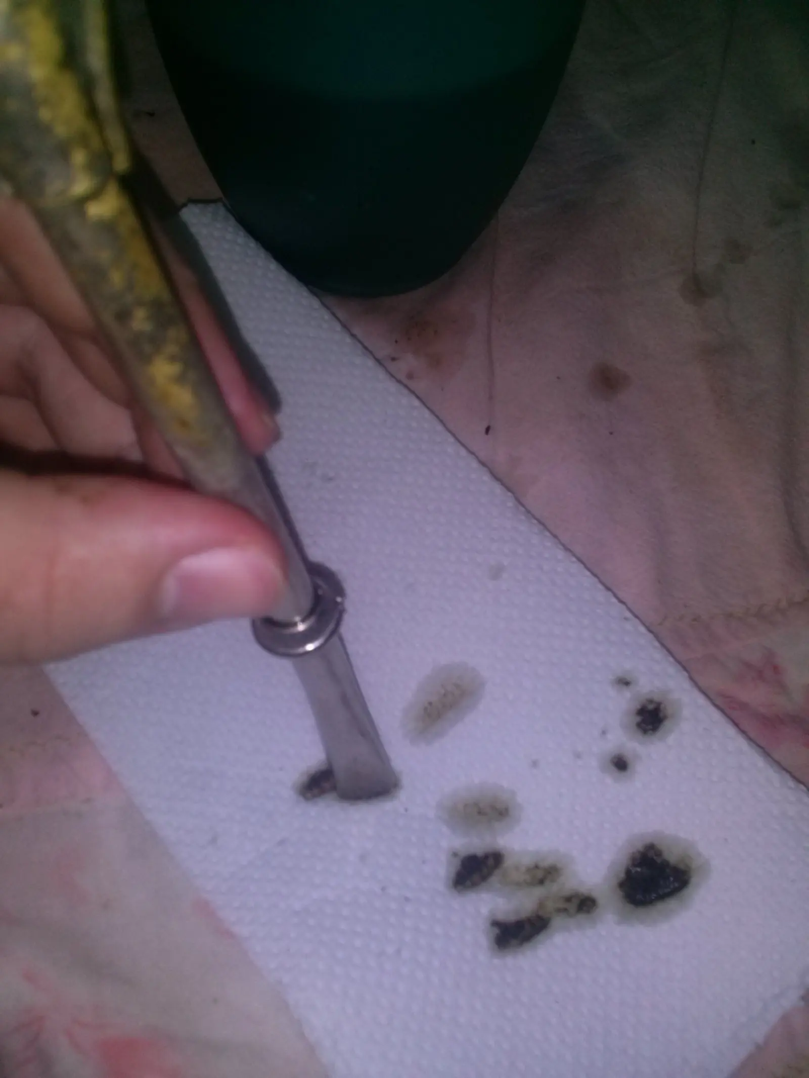 taringa