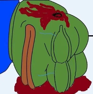 pepe frog