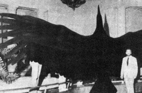 13 Datos curiosos que no conocías y te harán más sabio