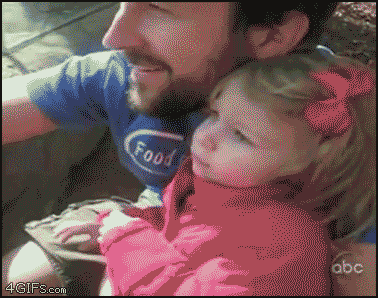 gifs de perros