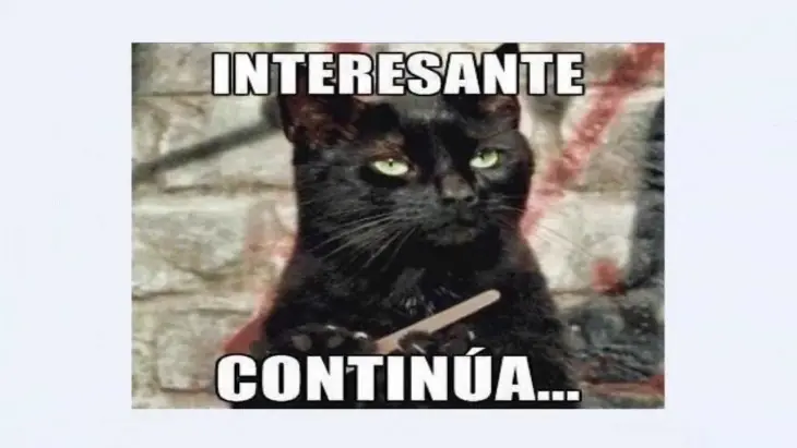 chat