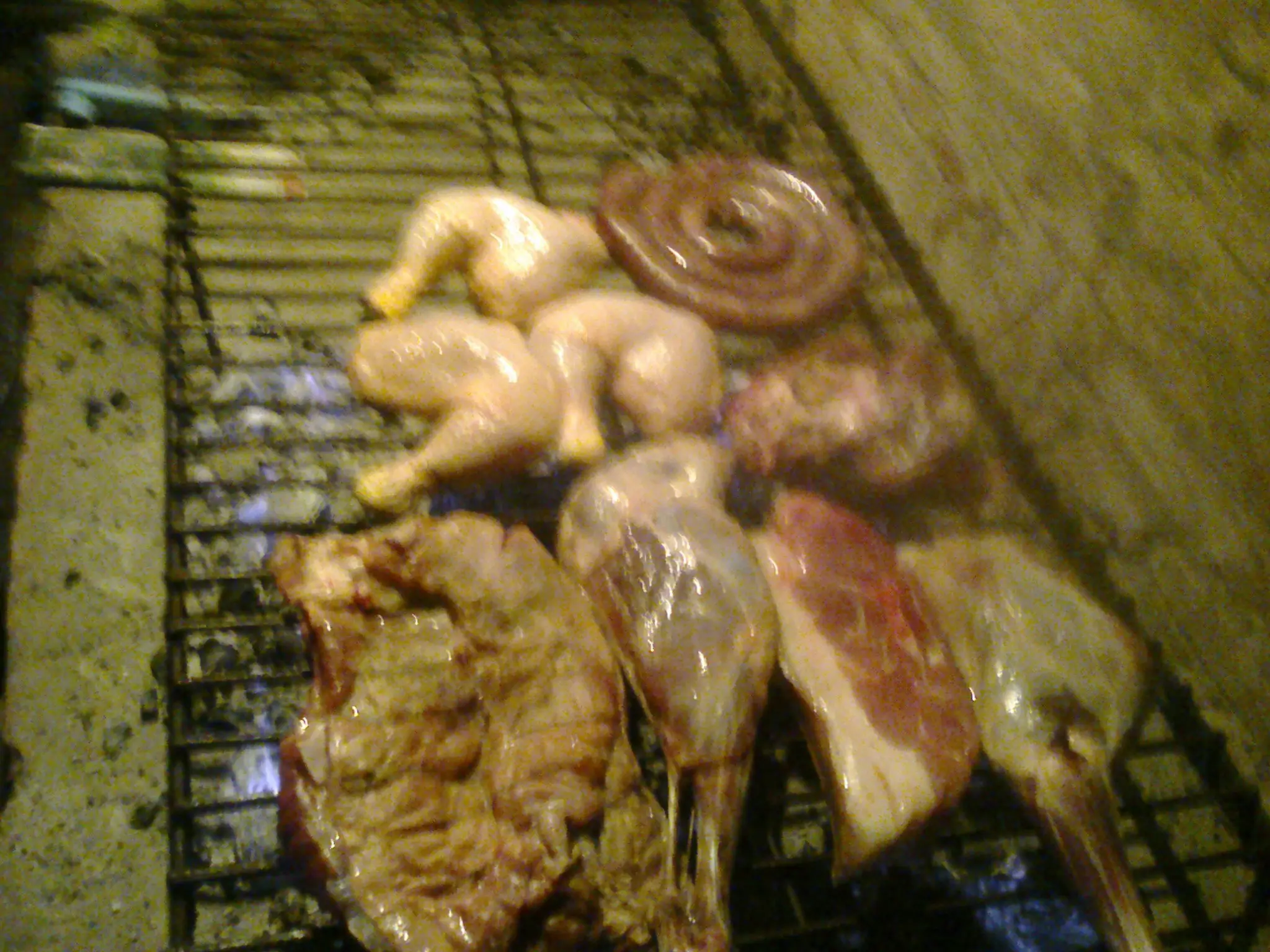 paso a paso