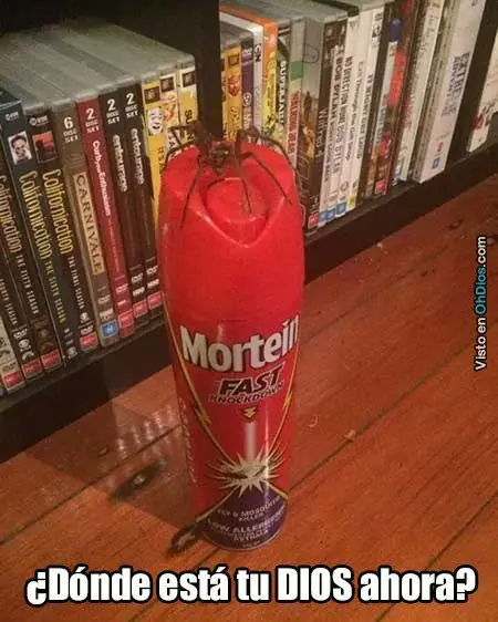 +7 si te ríes con alguna.