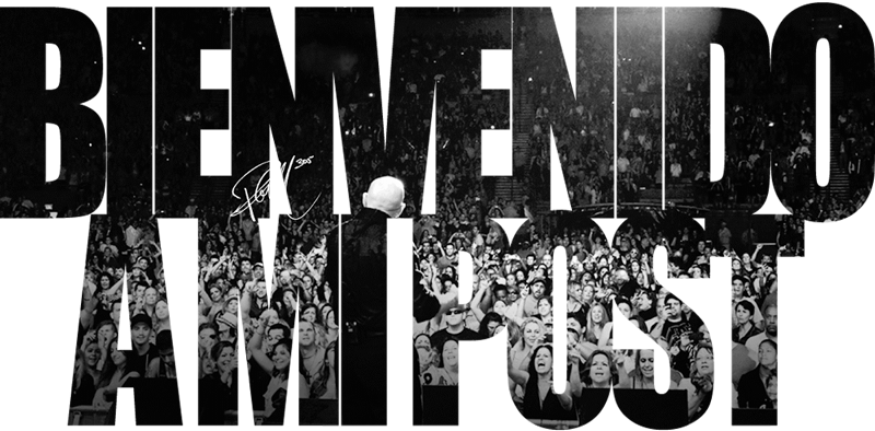 60 Proverbios Japoneses llenos de sabiduría.