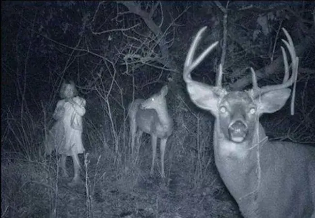 terror