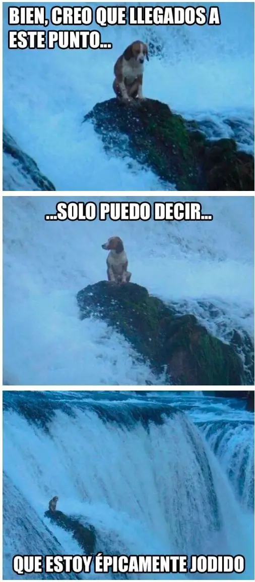 buenas