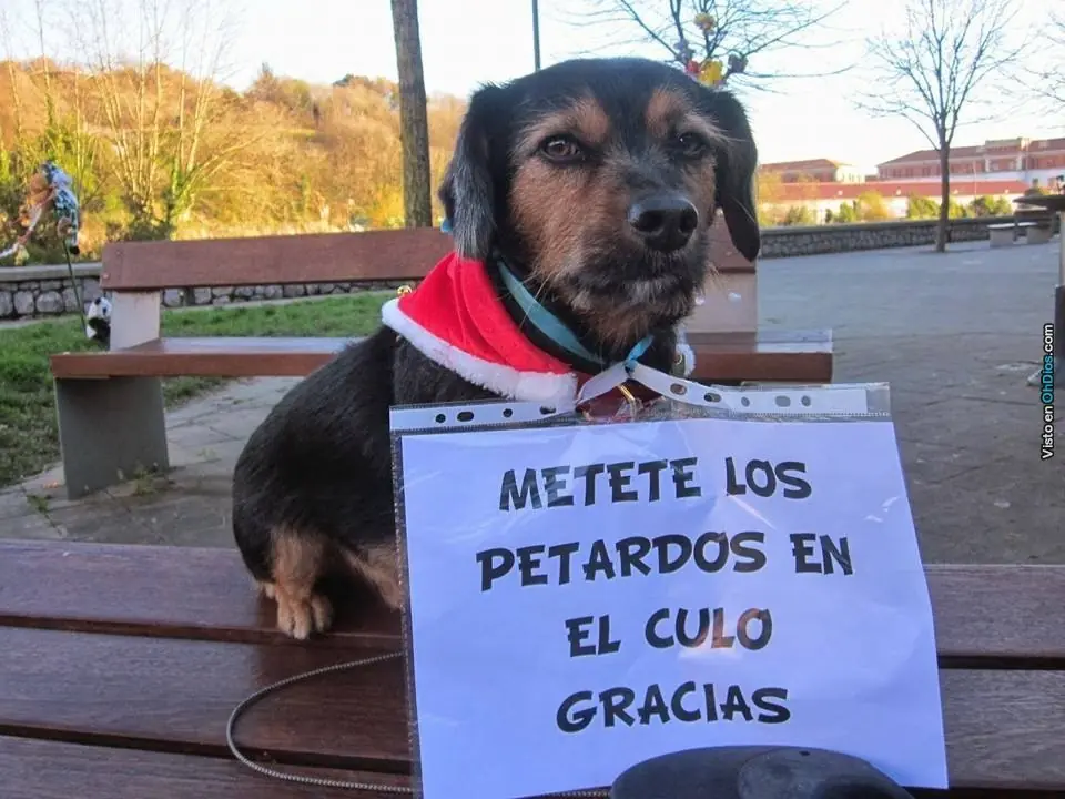 +7 si te ríes con alguna.
