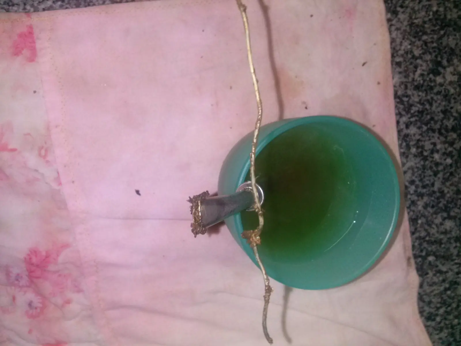 como limpiar un mate