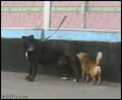 muy divertidos