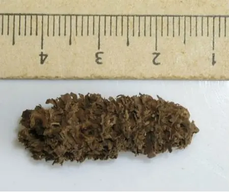 encontrados