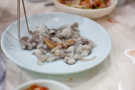 Las 10 comidas más raras del mundo