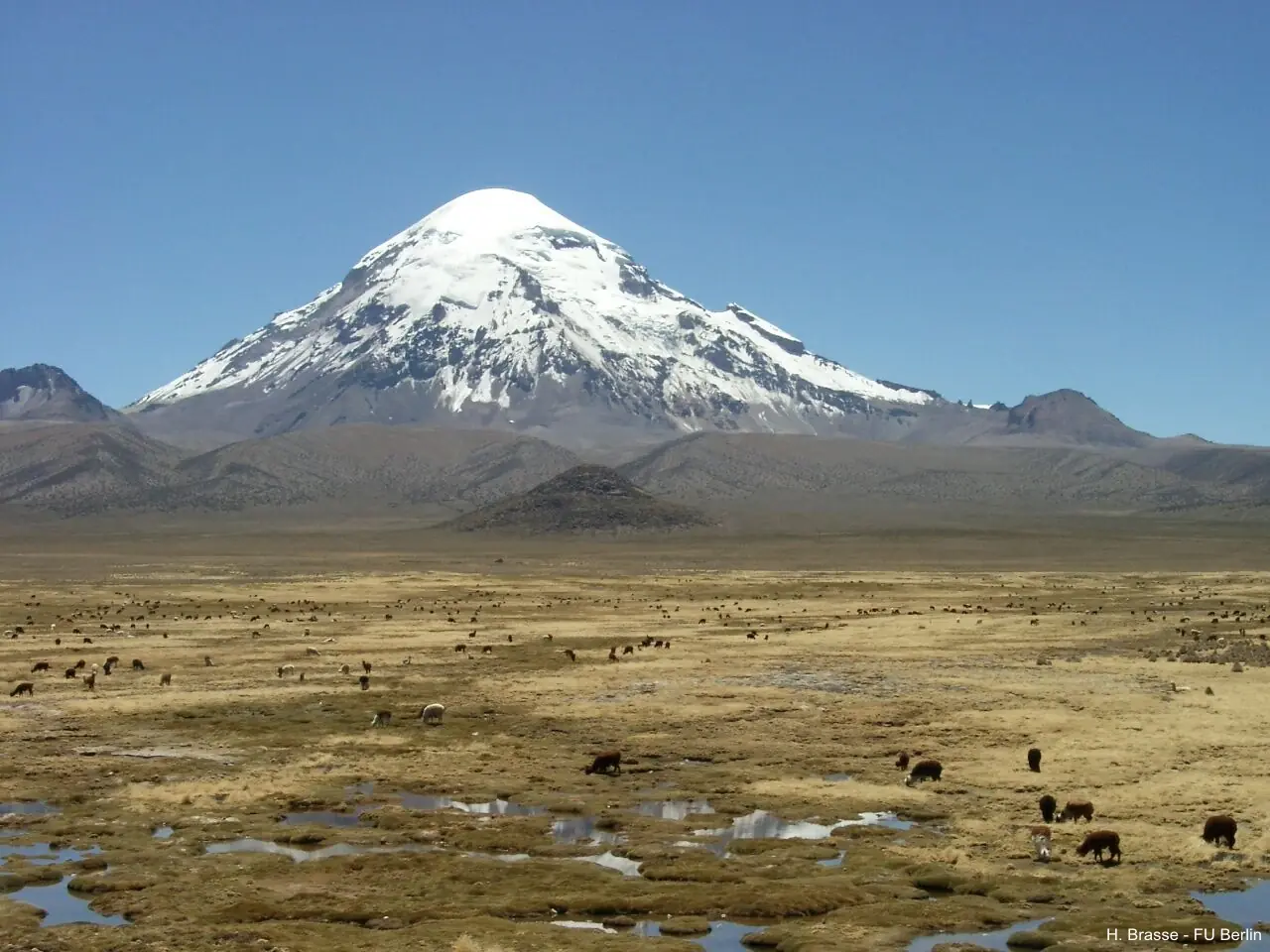 cerro catedral