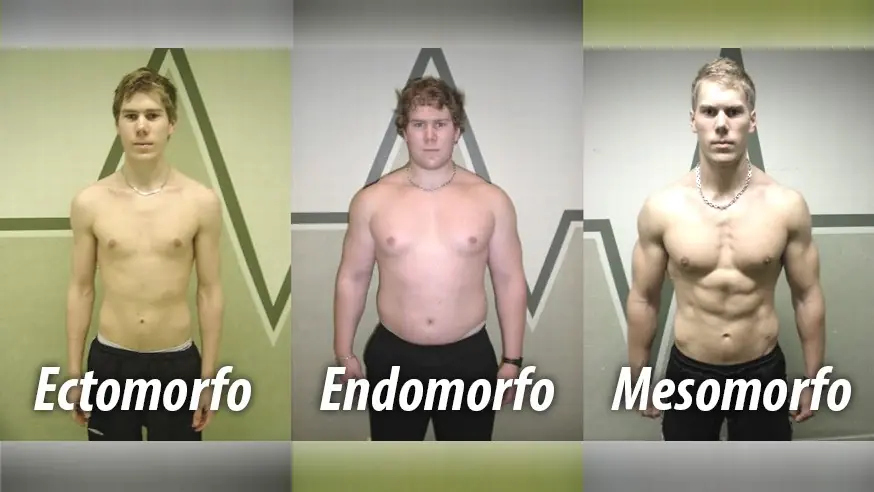 Endomorfo Endomorfo