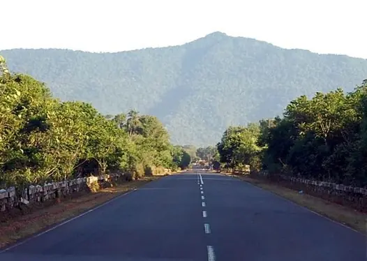 pico bolivar