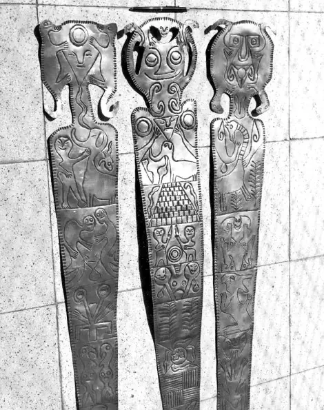 aves de los tayos