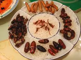 comidas