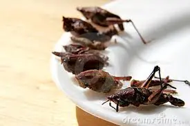 recetas