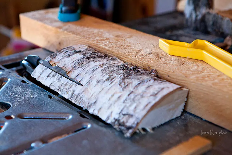 Taringero! Atende bien al pajaro.