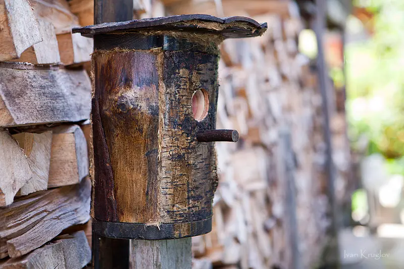 Taringero! Atende bien al pajaro.