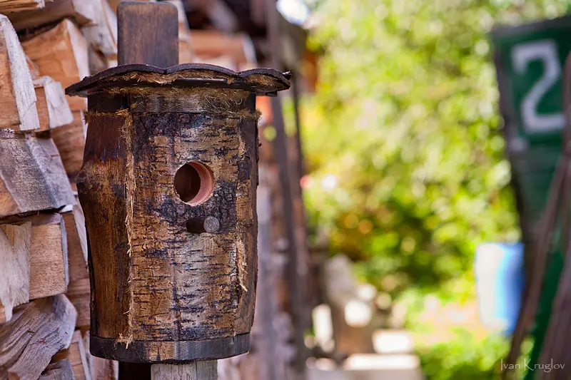 Taringero! Atende bien al pajaro.