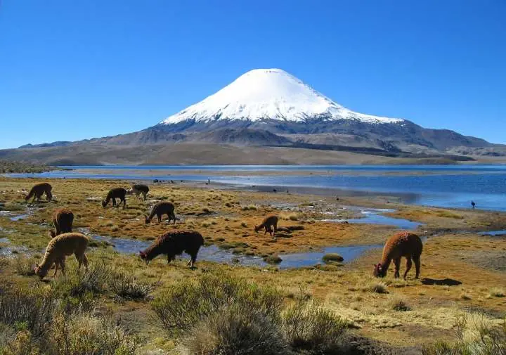 Chimborazo
