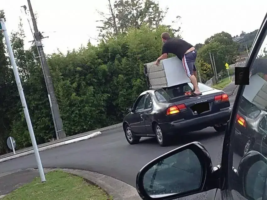 taringuero promedio