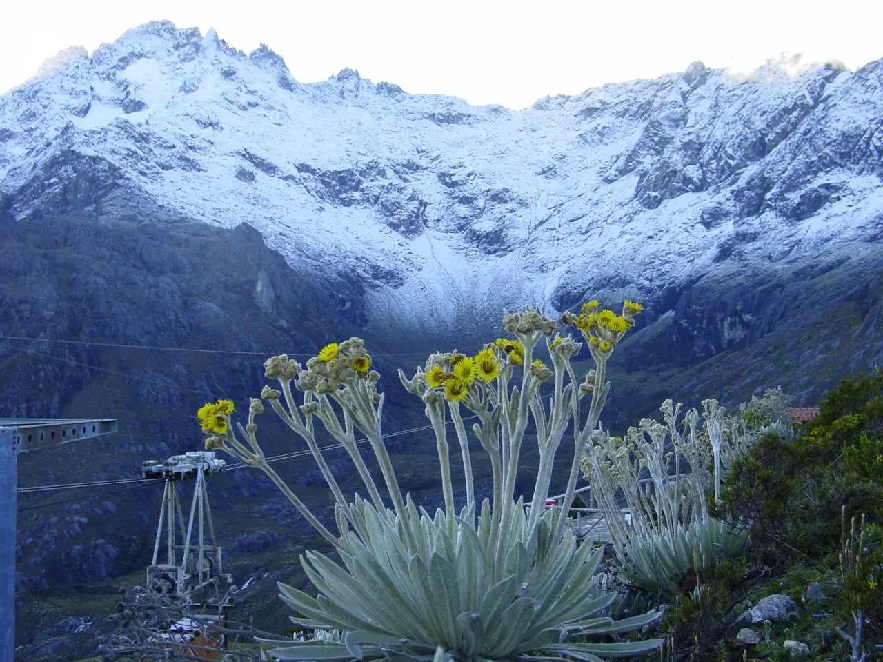 pico bolivar