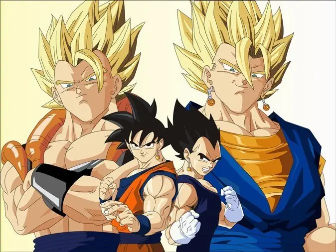 vegetto